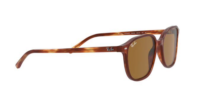 Ray-Ban Leonard Sunglasses RB2193 954/33