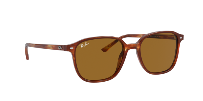 Ray-Ban Leonard Sunglasses RB2193 954/33