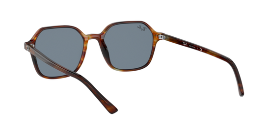 Ray-Ban John Sunglasses RB2194 954/62