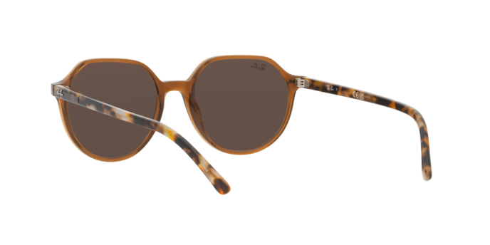 Ray-Ban Thalia Sunglasses RB2195 663693