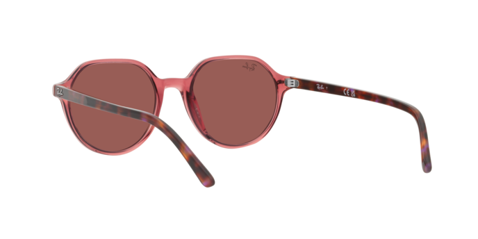Ray-Ban Thalia Sunglasses RB2195 66372K