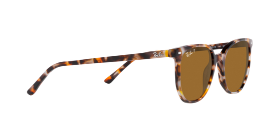 Ray-Ban Elliot Sunglasses RB2197 135757