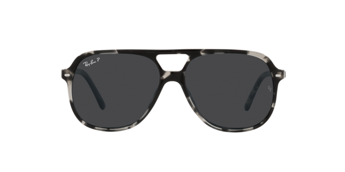 Ray-Ban Bill Sunglasses RB2198 133348