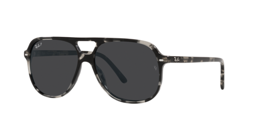 Ray-Ban Bill Sunglasses RB2198 133348