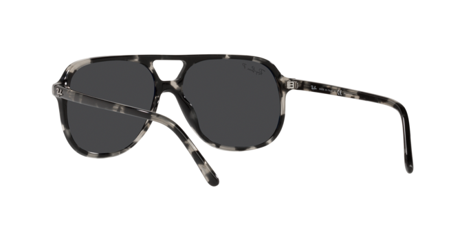 Ray-Ban Bill Sunglasses | GearMoose