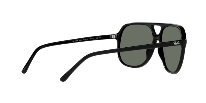 Ray-Ban Bill Sunglasses RB2198 901/58