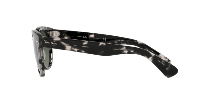 Ray-Ban Orion Sunglasses RB2199 133371