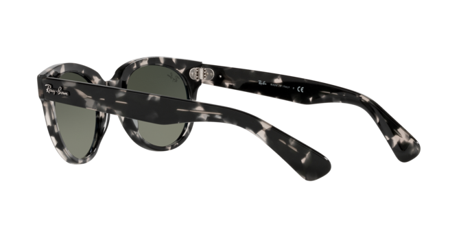 Ray-Ban Orion Sunglasses RB2199 133371