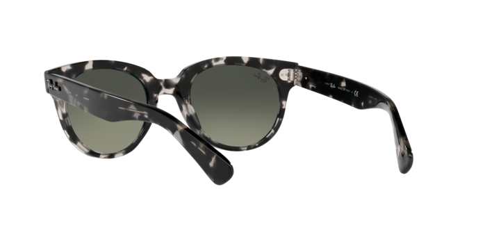 Ray-Ban Orion Sunglasses RB2199 133371