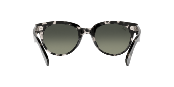 Ray-Ban Orion Sunglasses RB2199 133371