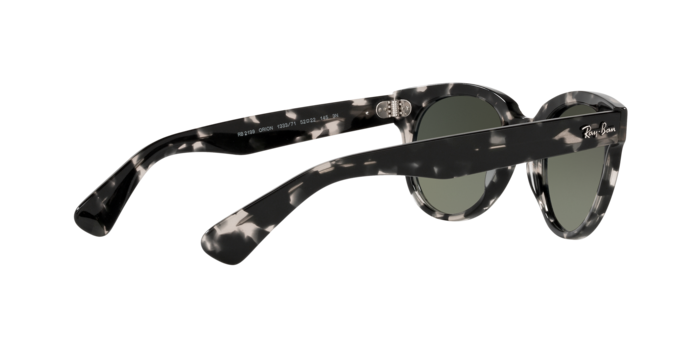 Ray-Ban Orion Sunglasses RB2199 133371