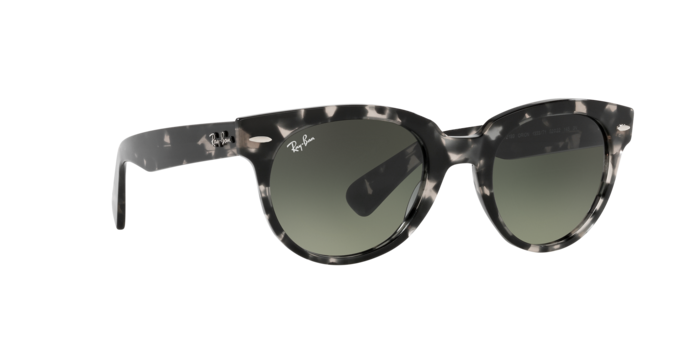 Ray-Ban Orion Sunglasses RB2199 133371
