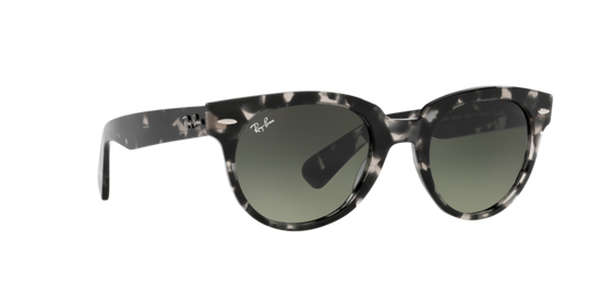 Ray-Ban Orion Sunglasses RB2199 133371