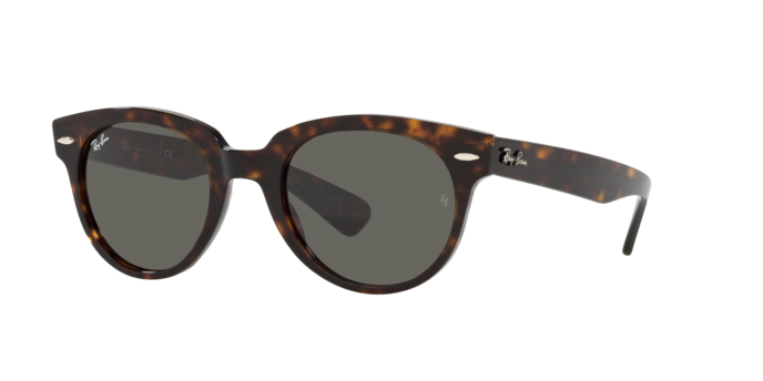 Ray-Ban Orion Sunglasses RB2199 902/B1