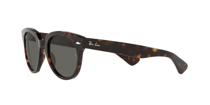 Ray-Ban Orion Sunglasses RB2199 902/B1