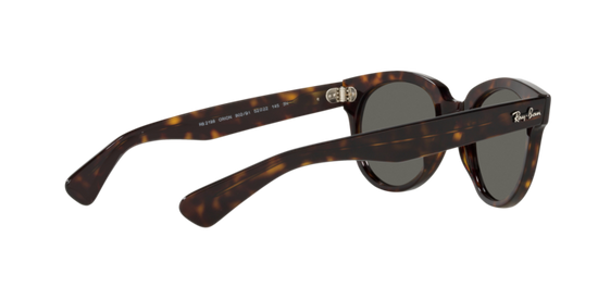 Ray-Ban Orion Sunglasses RB2199 902/B1