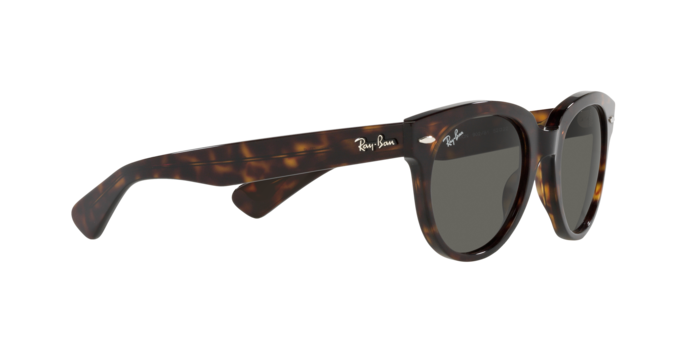 Ray-Ban Orion Sunglasses RB2199 902/B1