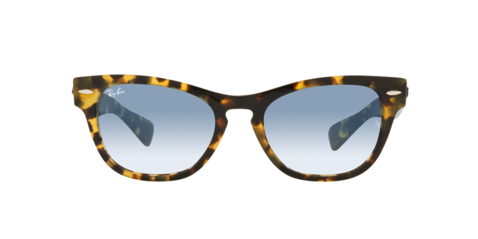 Ray-Ban Laramie Sunglasses RB2201 954/57