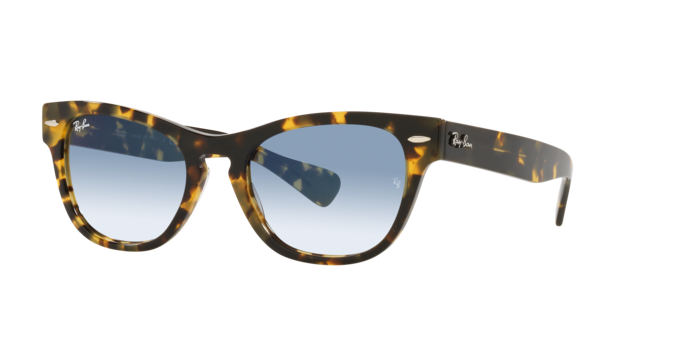 Ray-Ban Laramie Sunglasses RB2201 954/57