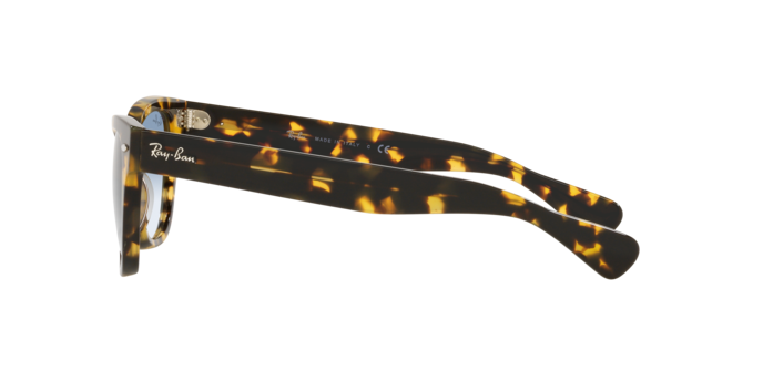 Ray-Ban Laramie Sunglasses RB2201 954/57