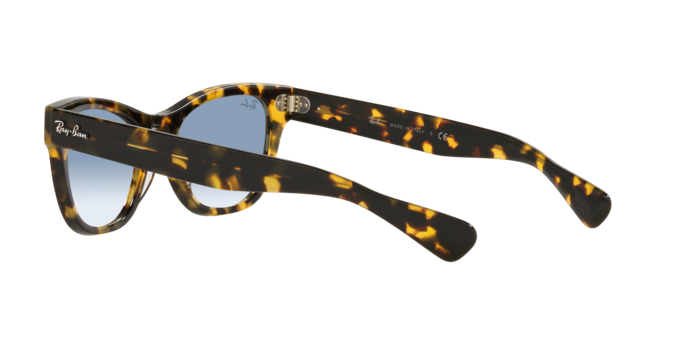 Ray-Ban Laramie Sunglasses RB2201 954/57