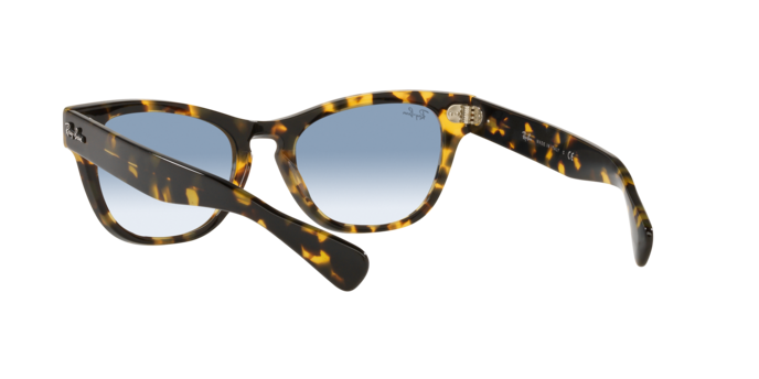 Ray-Ban Laramie Sunglasses RB2201 13323F