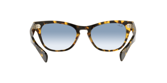 Ray-Ban Laramie Sunglasses RB2201 954/57