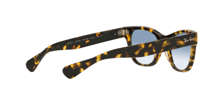 Ray-Ban Laramie Sunglasses RB2201 13323F