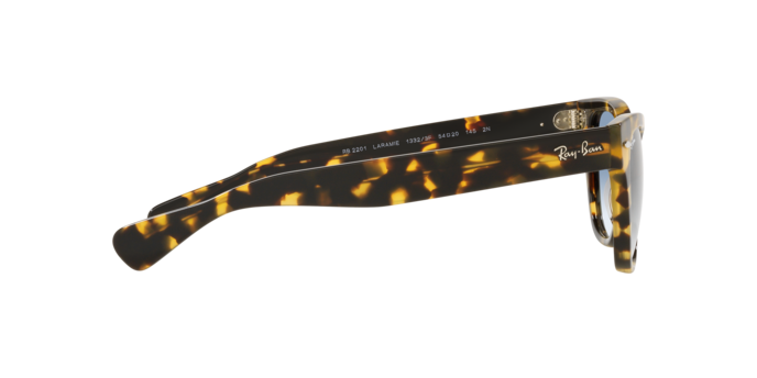 Ray-Ban Laramie Sunglasses RB2201 954/57