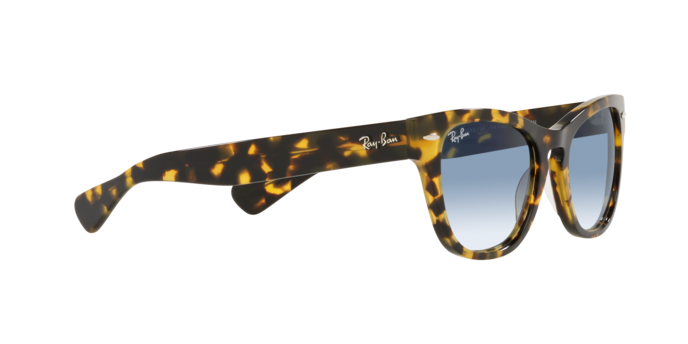 Ray-Ban Laramie Sunglasses RB2201 954/57