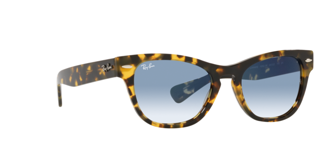 Ray-Ban Laramie Sunglasses RB2201 13323F