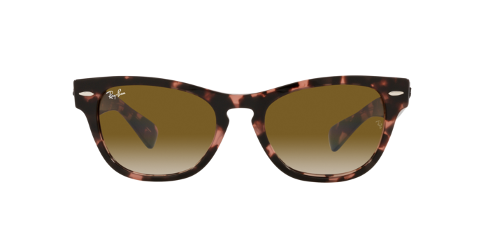 Ray-Ban Laramie Sunglasses RB2201 133451