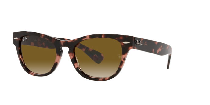 Ray-Ban Laramie Sunglasses RB2201 133451