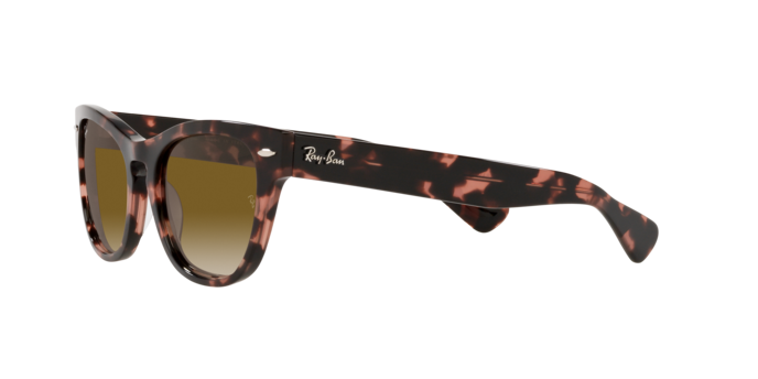 Ray-Ban Laramie Sunglasses RB2201 133451