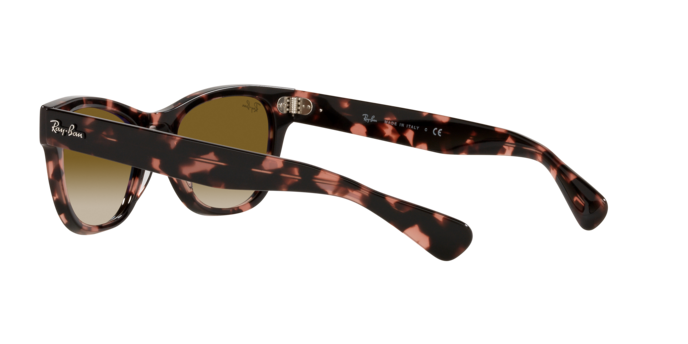 Ray-Ban Laramie Sunglasses RB2201 133451