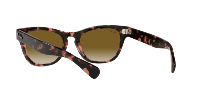 Ray-Ban Laramie Sunglasses RB2201 133451