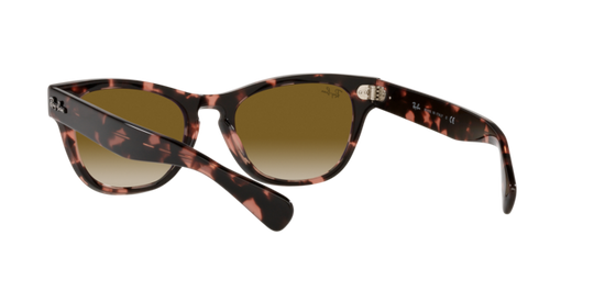 Ray-Ban Laramie Sunglasses RB2201 133451