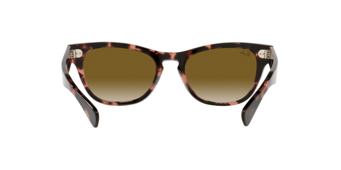 Ray-Ban Laramie Sunglasses RB2201 133451