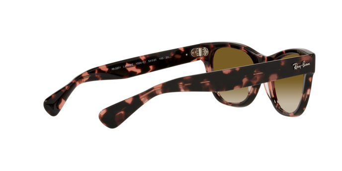 Ray-Ban Laramie Sunglasses RB2201 133451