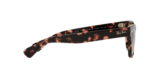 Ray-Ban Laramie Sunglasses RB2201 133451