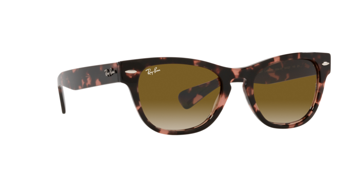 Ray-Ban Laramie Sunglasses RB2201 133451