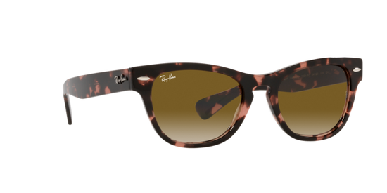 Ray-Ban Laramie Sunglasses RB2201 133451