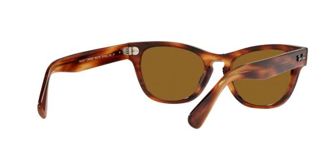 Ray-Ban Laramie Sunglasses RB2201 954/33