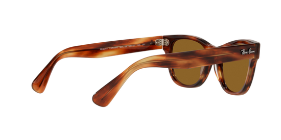 Ray-Ban Laramie Sunglasses RB2201 954/33