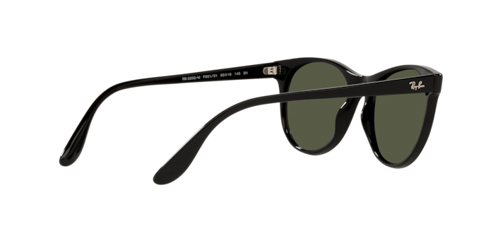 Ray-Ban Sunglasses RB2202M F66733