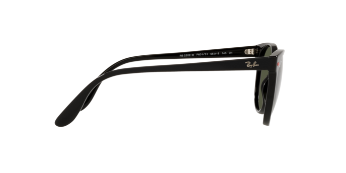 Ray-Ban Sunglasses RB2202M F60131