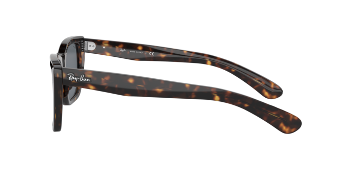 Ray-Ban Caribbean Sunglasses RB2248 902/R5