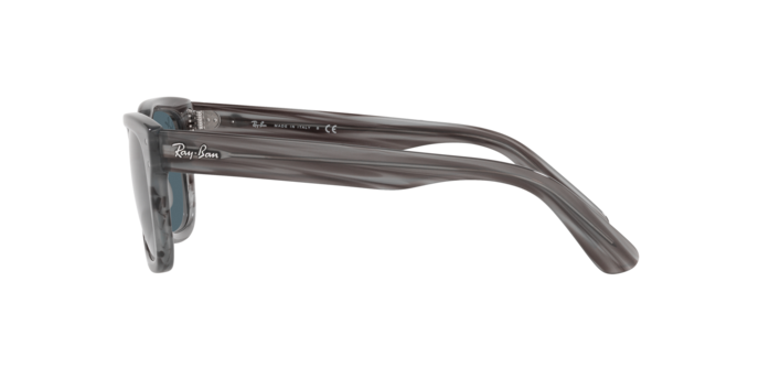 Ray-Ban Mr Burbank Sunglasses RB2283 1314R5