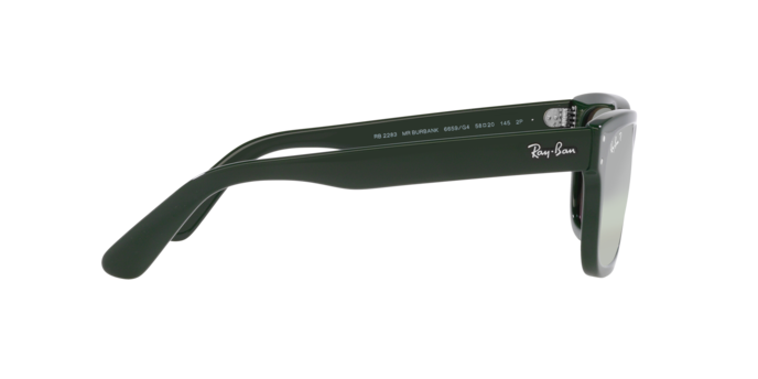 Ray-Ban Mr Burbank Sunglasses RB2283 6659G4