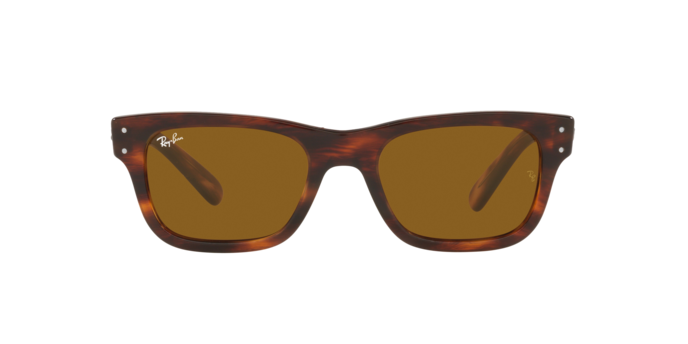 Ray-Ban Mr Burbank Sunglasses RB2283 954/33